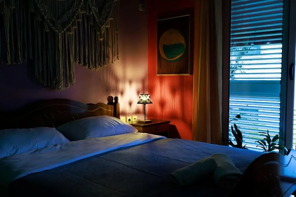 Viola - Lule Apartments 티라나 알바니아